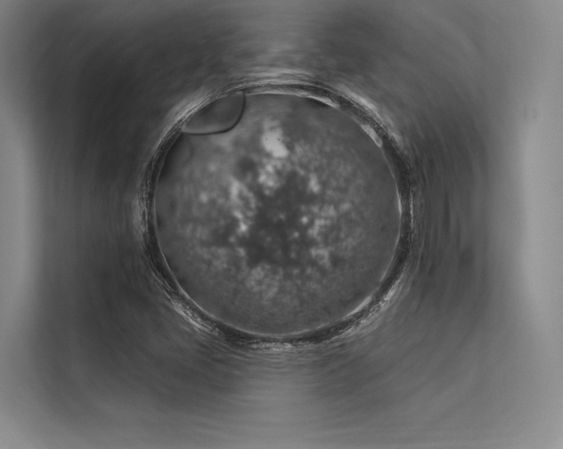 X0000113571405200909181238