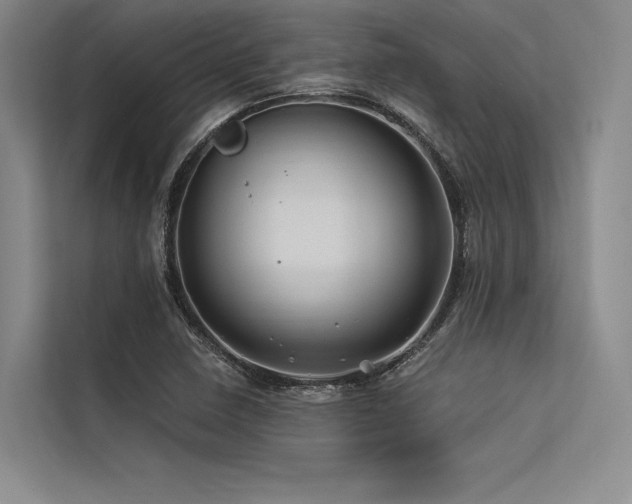 X0000113571410200909181238