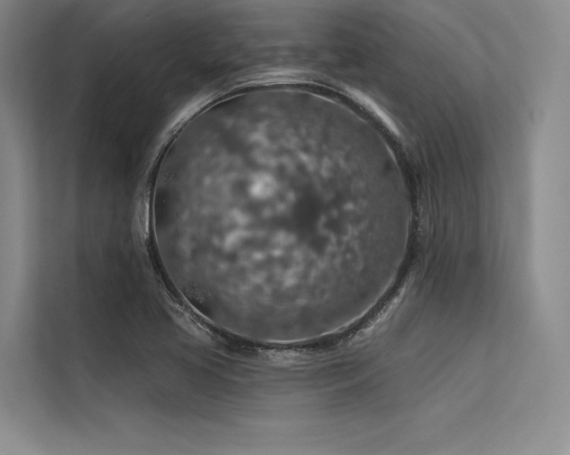 X0000113571413200909181238