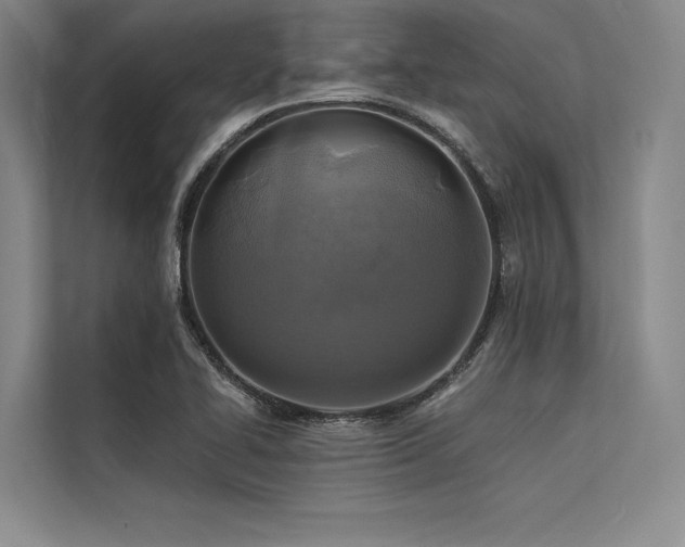 X0000113571414200909181238
