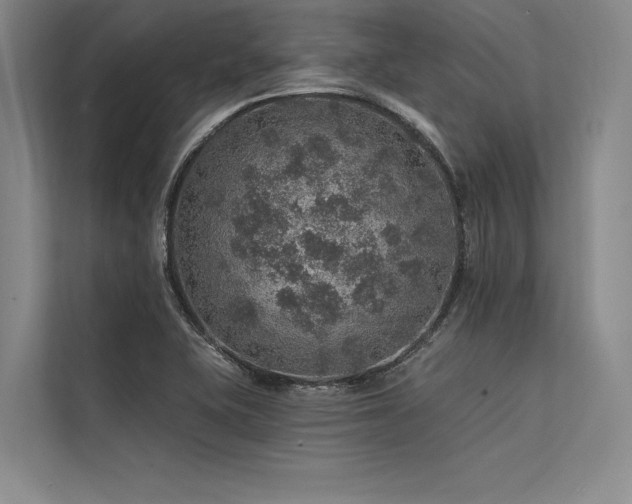 X0000113571415200909181238