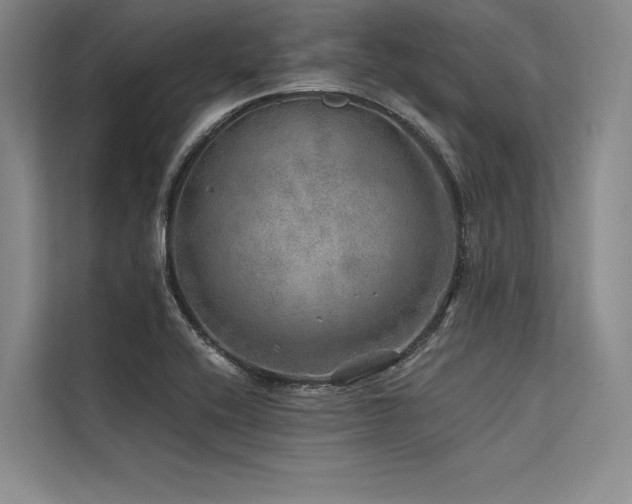 X0000113571416200909181238