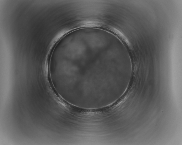 X0000113571419200909181238