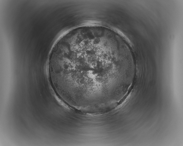 X0000113571421200909181238