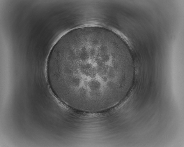 X0000113571423200909181238