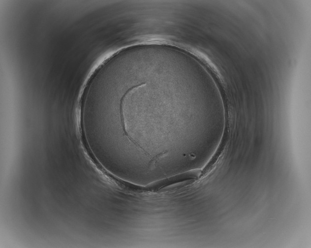 X0000113571424200909181238