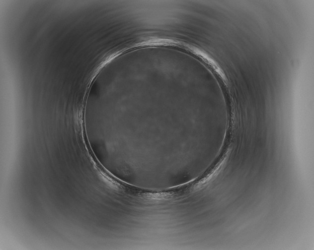 X0000113571425200909181238