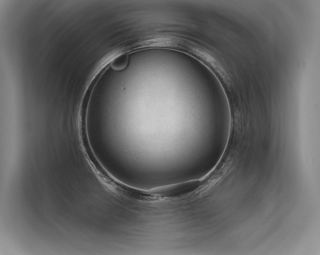 X0000113571426200909181238