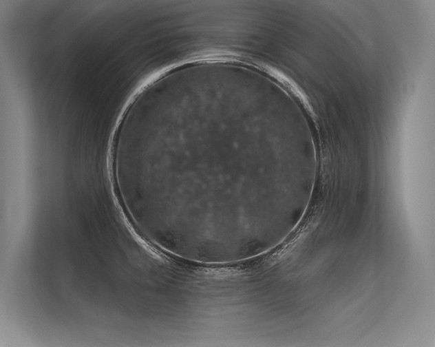 X0000113571429200909181238