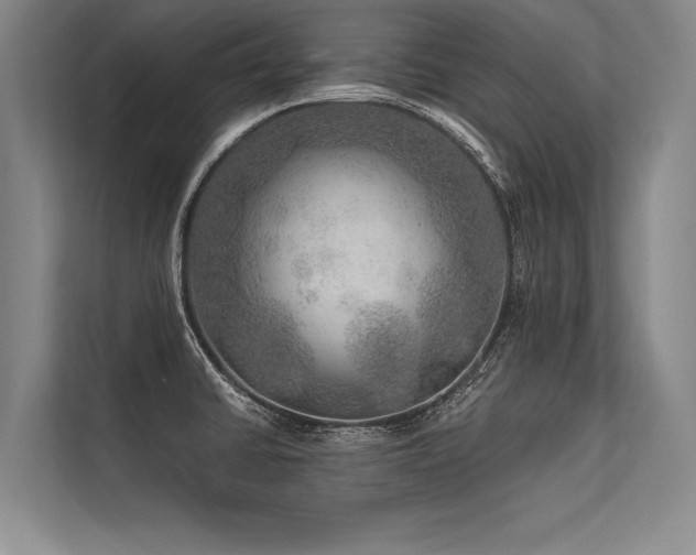 X0000113571430200909181238