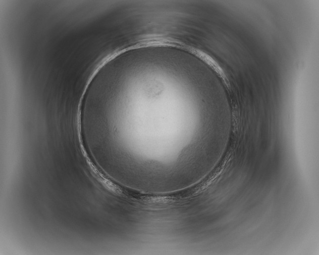 X0000113571431200909181238