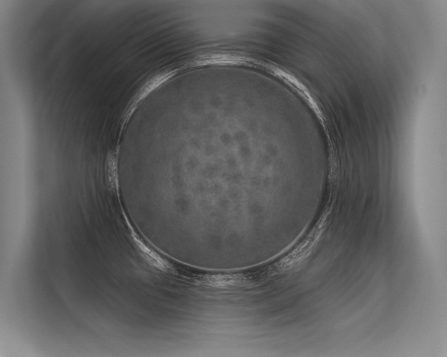 X0000113571433200909181238