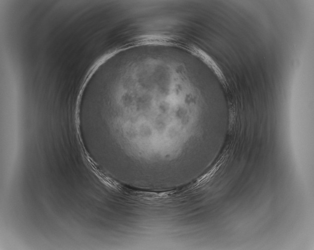 X0000113571435200909181238