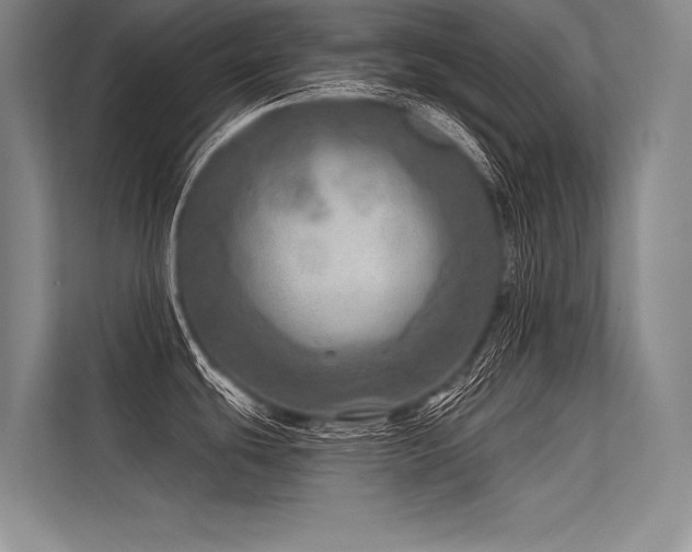 X0000113571439200909181238