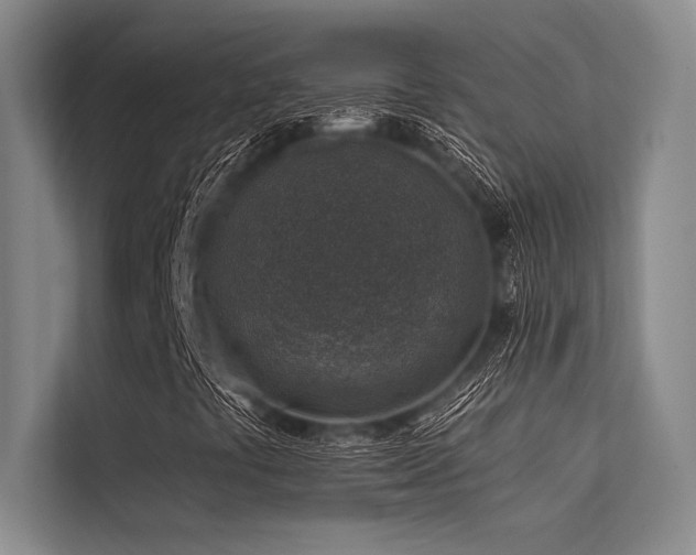X0000113571441200909181238