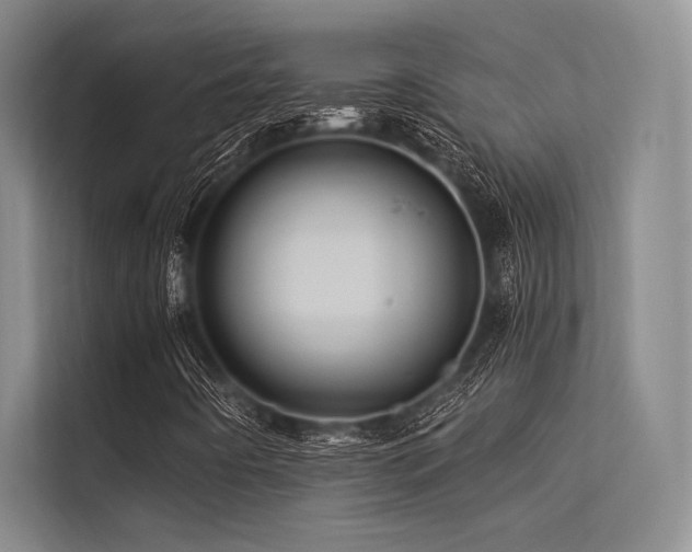 X0000113571442200909181238
