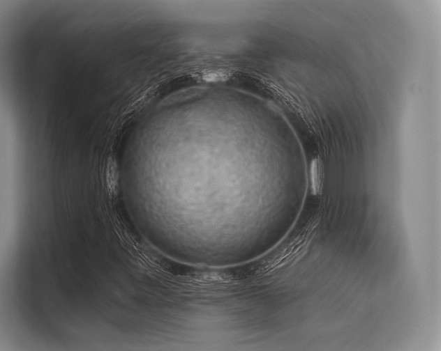 X0000113571443200909181238