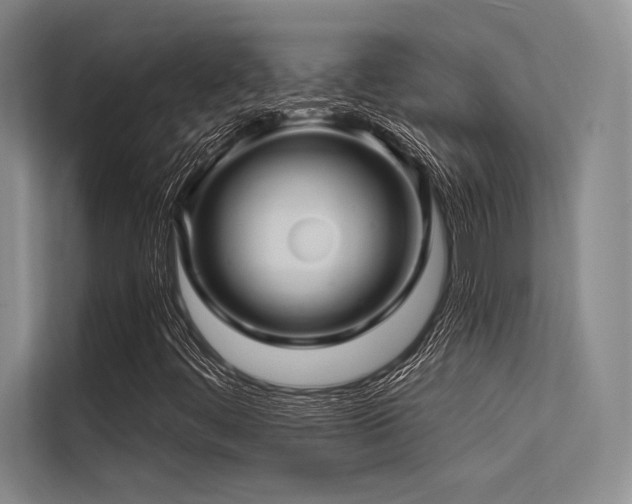 X0000113571444200909181238