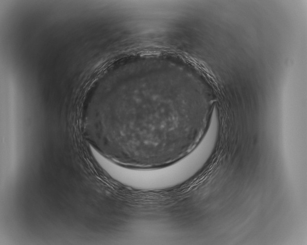 X0000113571445200909181238