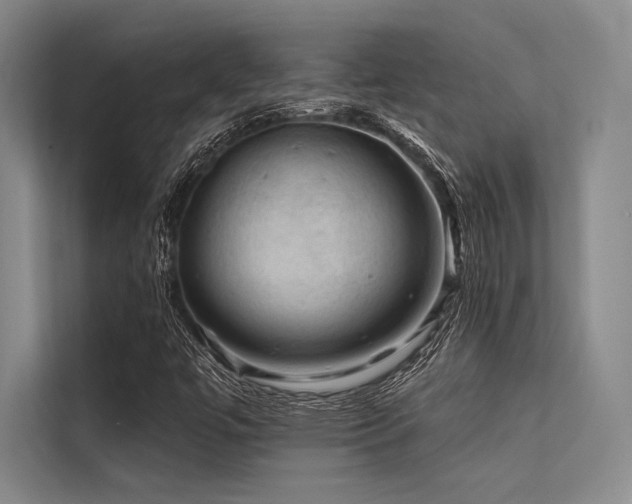 X0000113571447200909181238