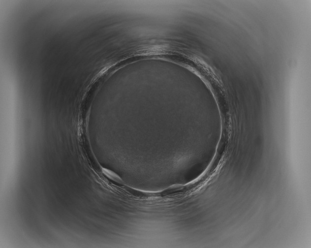 X0000113571449200909181237