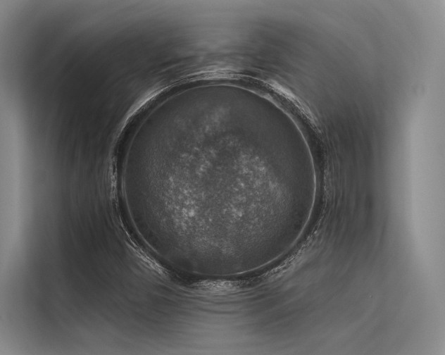 X0000113571450200909181237