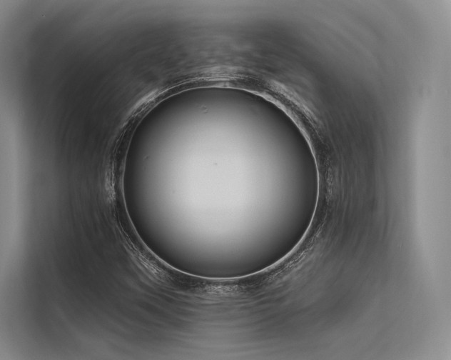 X0000113571451200909181237