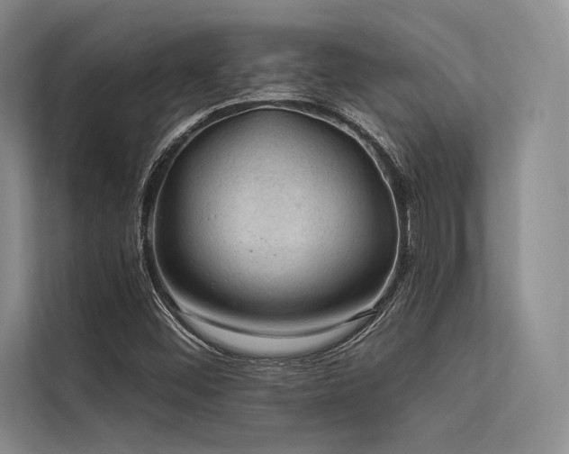 X0000113571452200909181237