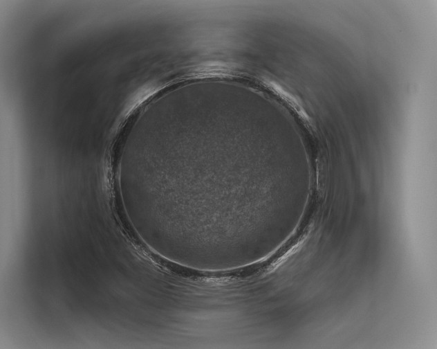 X0000113571453200909181237