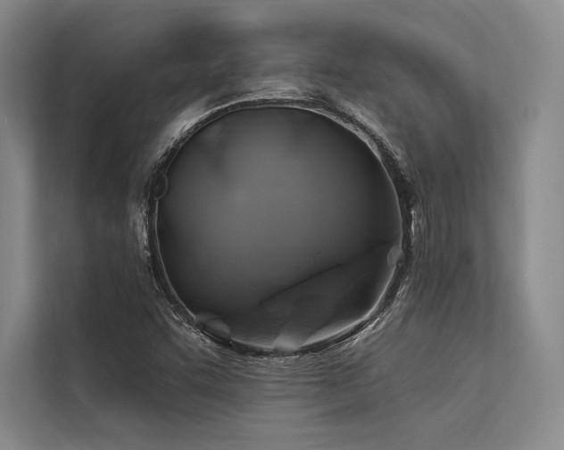 X0000113571455200909181237