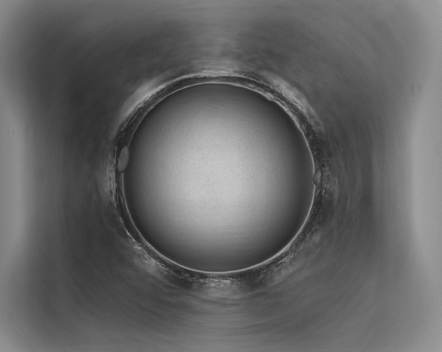 X0000113571456200909181237