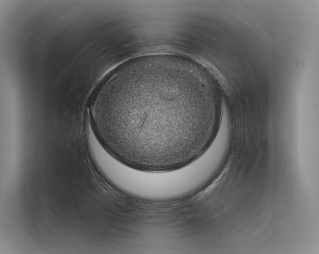 X0000113571457200909181237