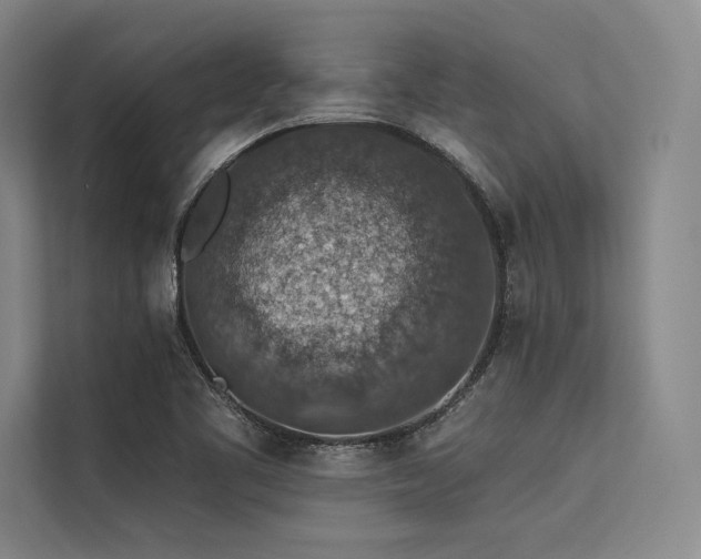 X0000113571461200909181237