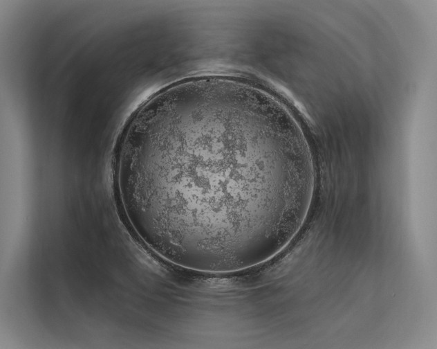 X0000113571463200909181237
