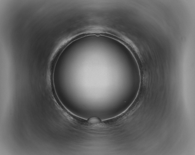X0000113571464200909181237