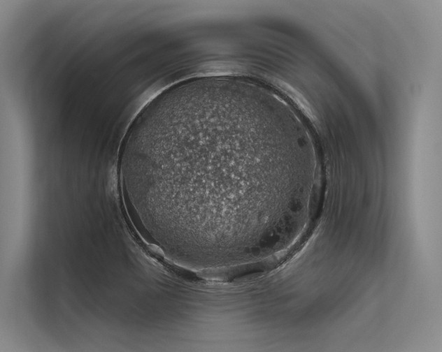 X0000113571465200909181237