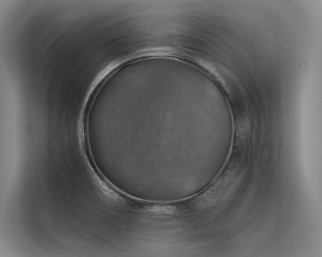X0000113571466200909181237