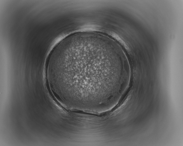 X0000113571469200909181237