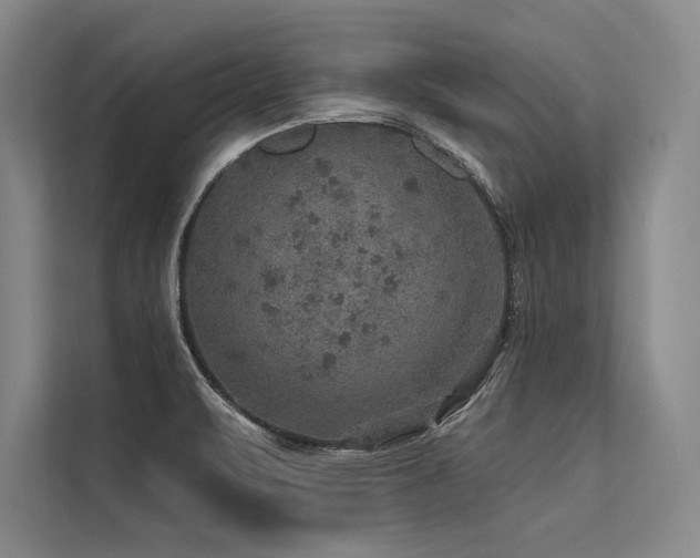 X0000113571471200909181237
