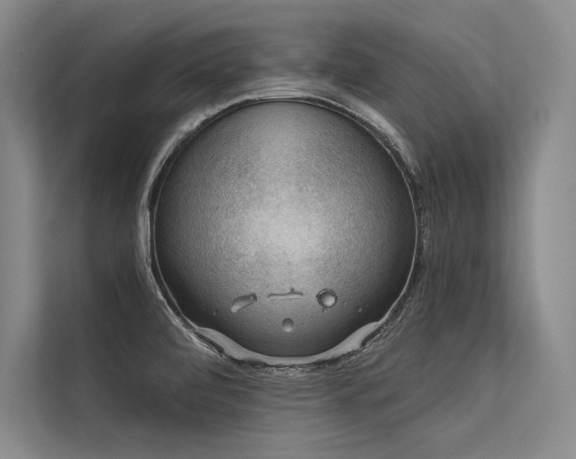 X0000113571472200909181237