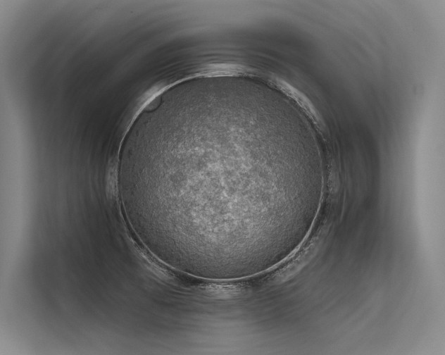 X0000113571473200909181237