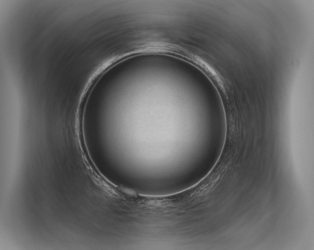 X0000113571480200909181237