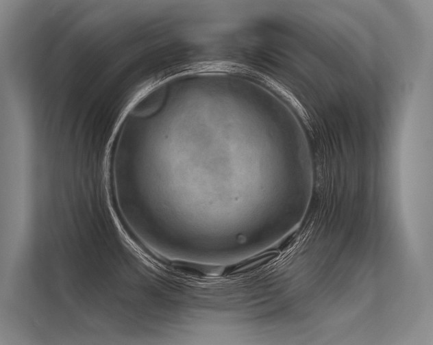 X0000113571483200909181237
