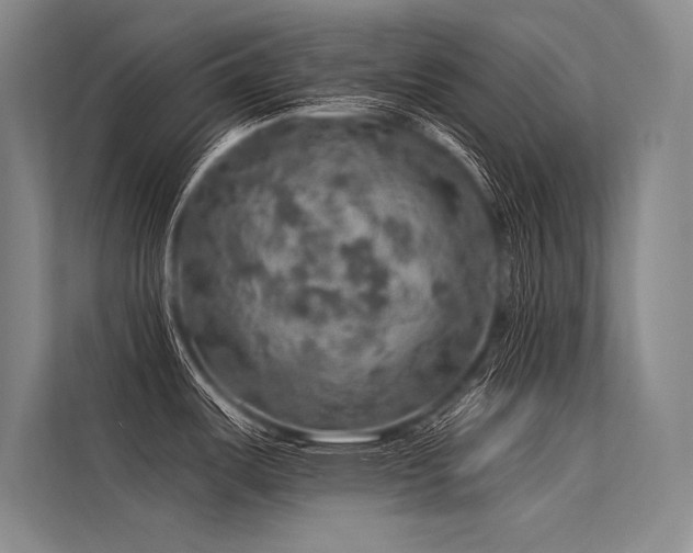 X0000113571487200909181237