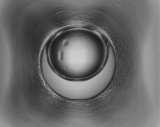 X0000113571488200909181237