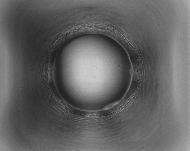 X0000113571490200909181236