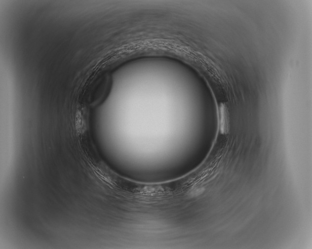 X0000113571491200909181236