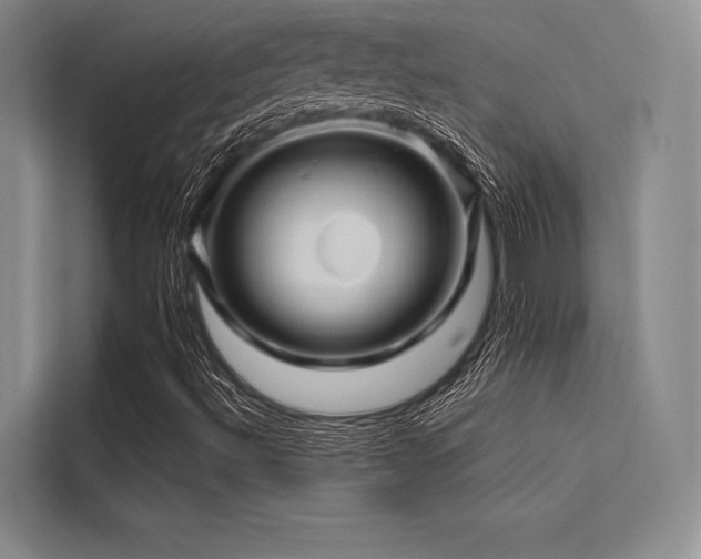 X0000113571492200909181236