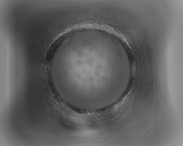 X0000113571494200909181236