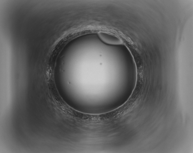 X0000113571495200909181236